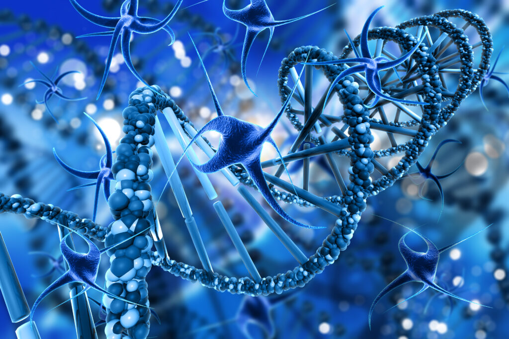 Cell Signaling Technology